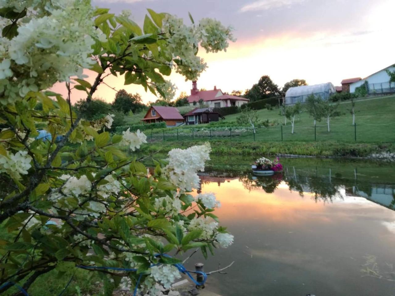 Hotel Griežto 5 Manor Zarasai Esterno foto